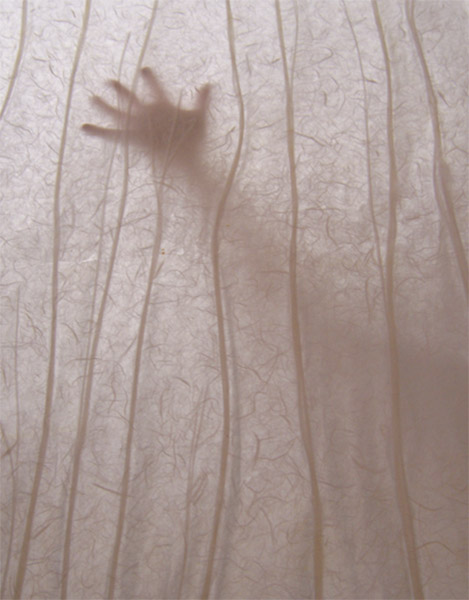 ANSEHLICH(T) | Claudia Wartmann & Jana Bauer