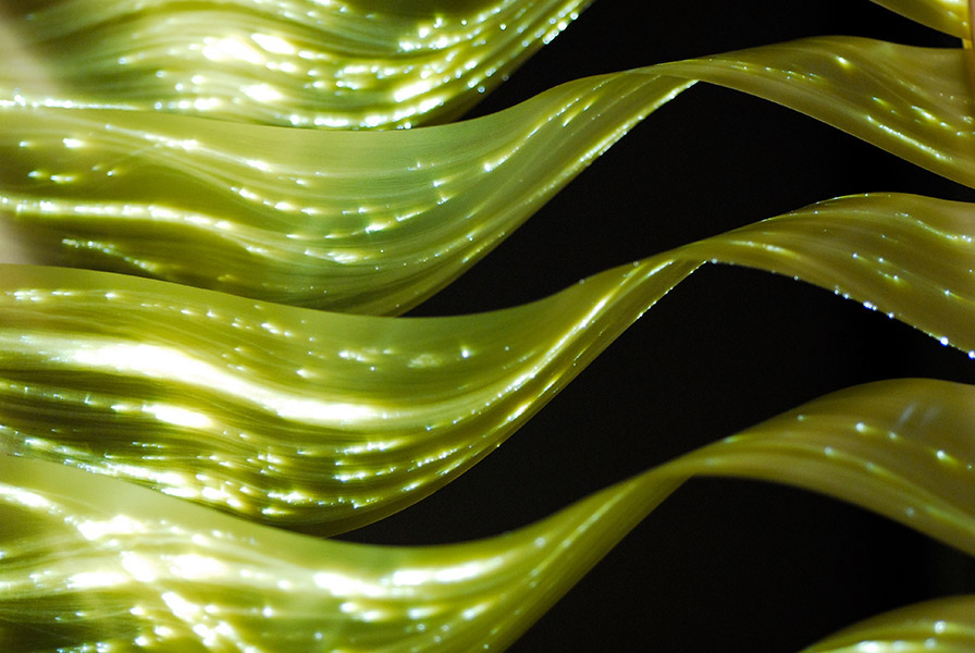 TWIST | Marija Zilic & Jensy Poikayic