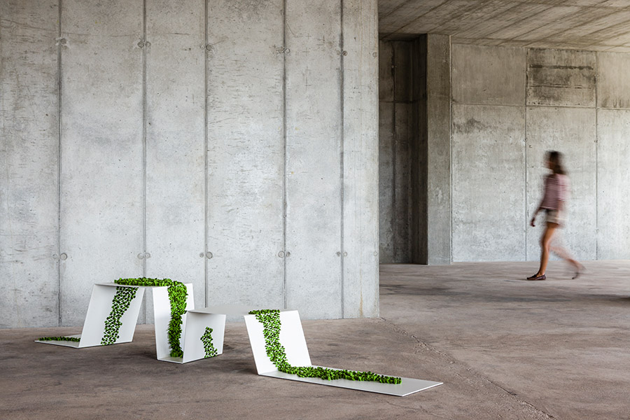 GREENKEEPER | Magdalena Gawlik